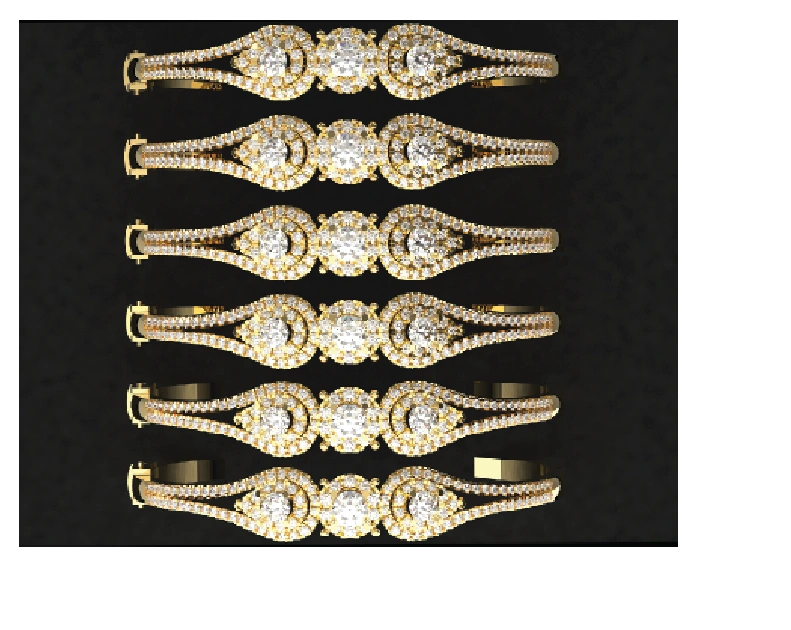 Bangle Tray view 1
